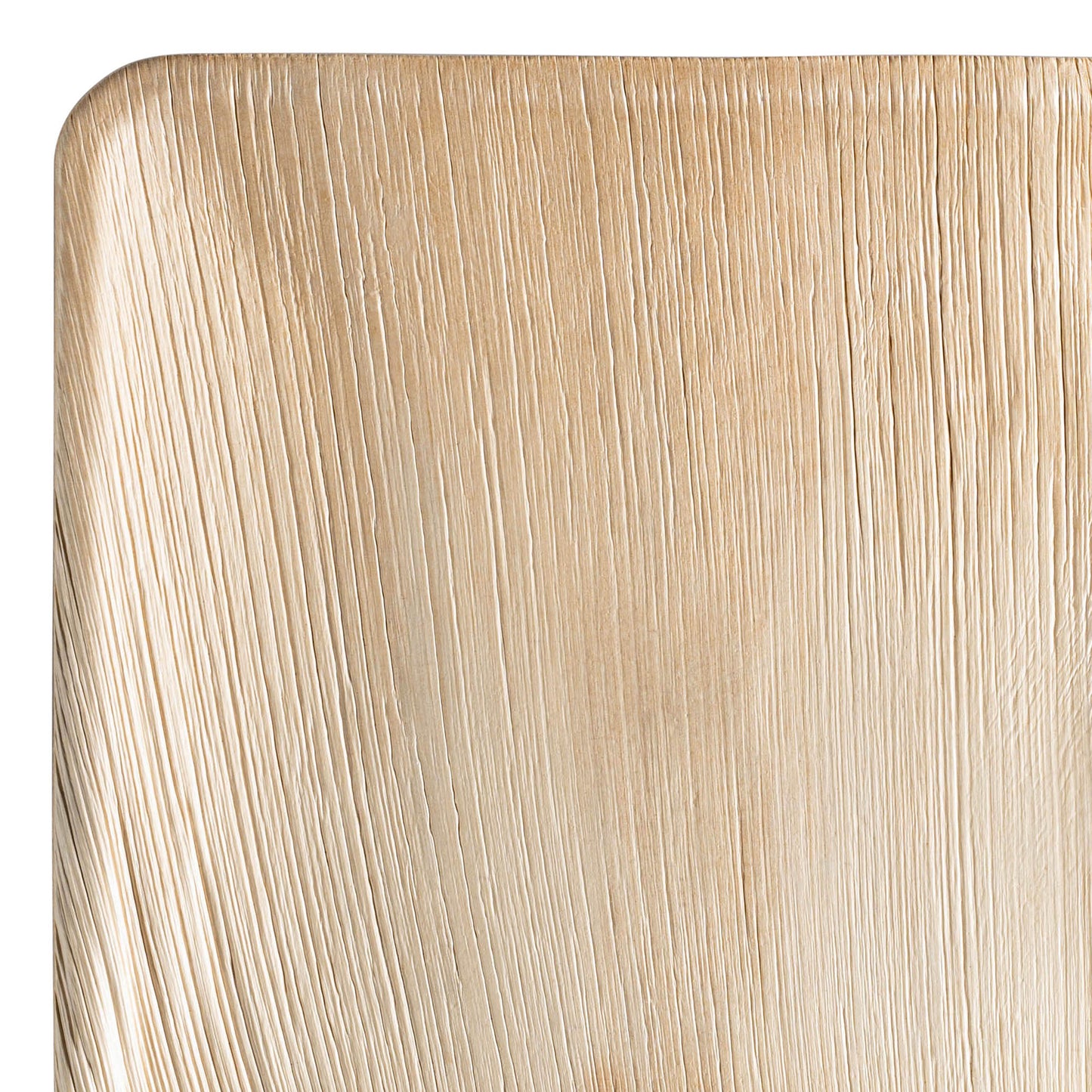 Square Palm Leaf Disposable Eco-Friendly Platters (11")