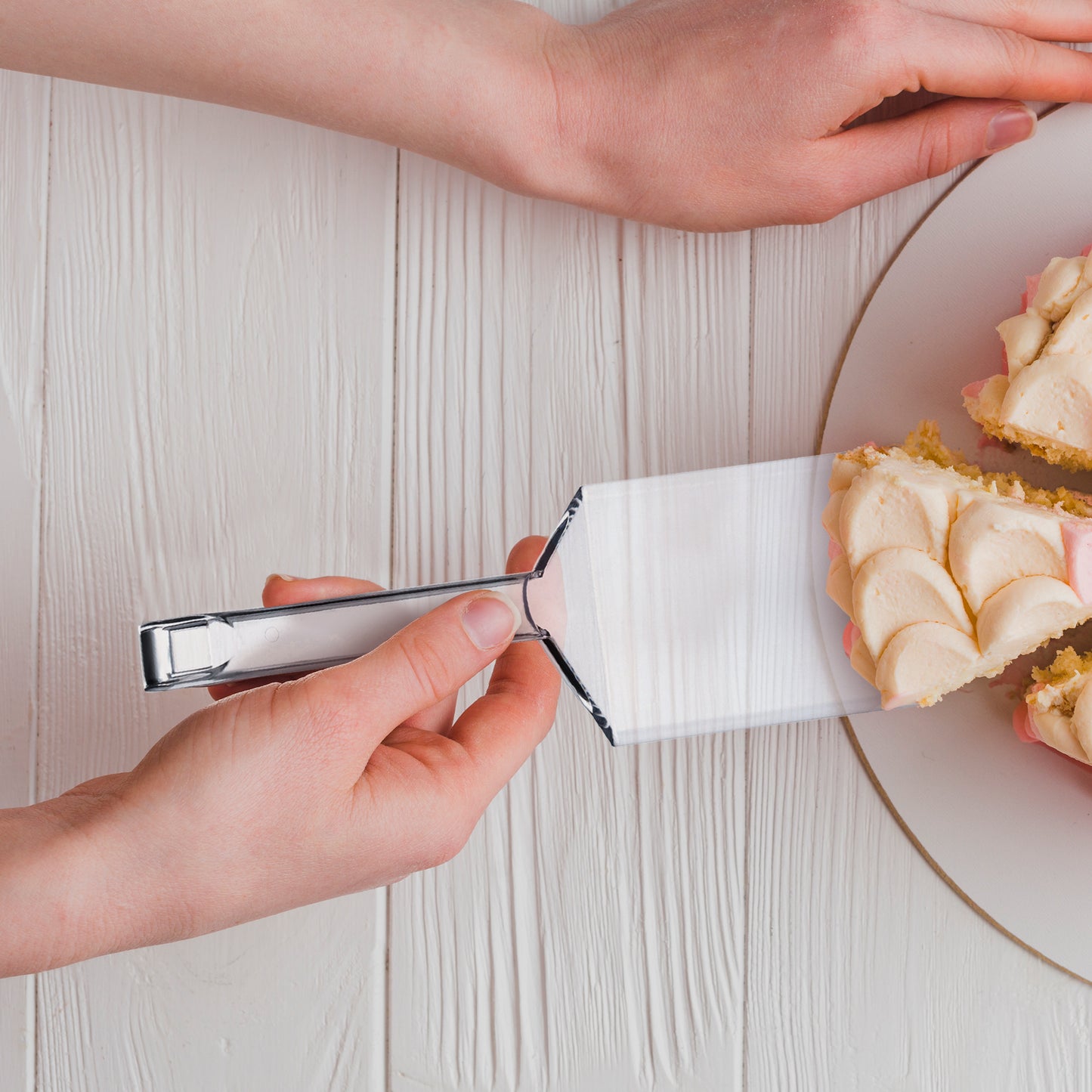 Clear Plastic Large Serving Spatulas