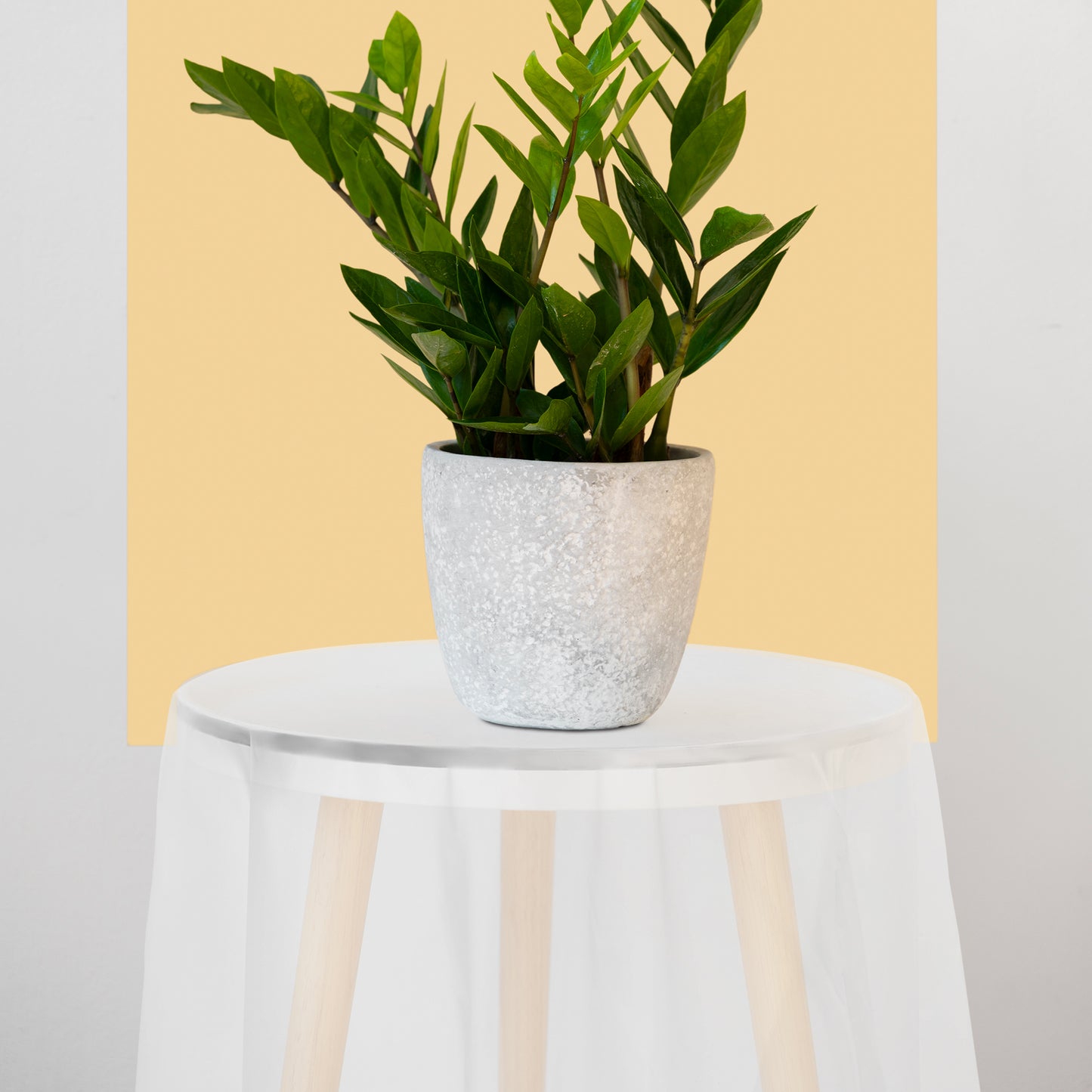 Clear Round Plastic Tablecloths (84")