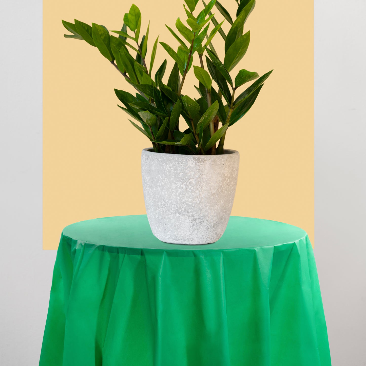 Hunter Green Round Plastic Tablecloths (84")