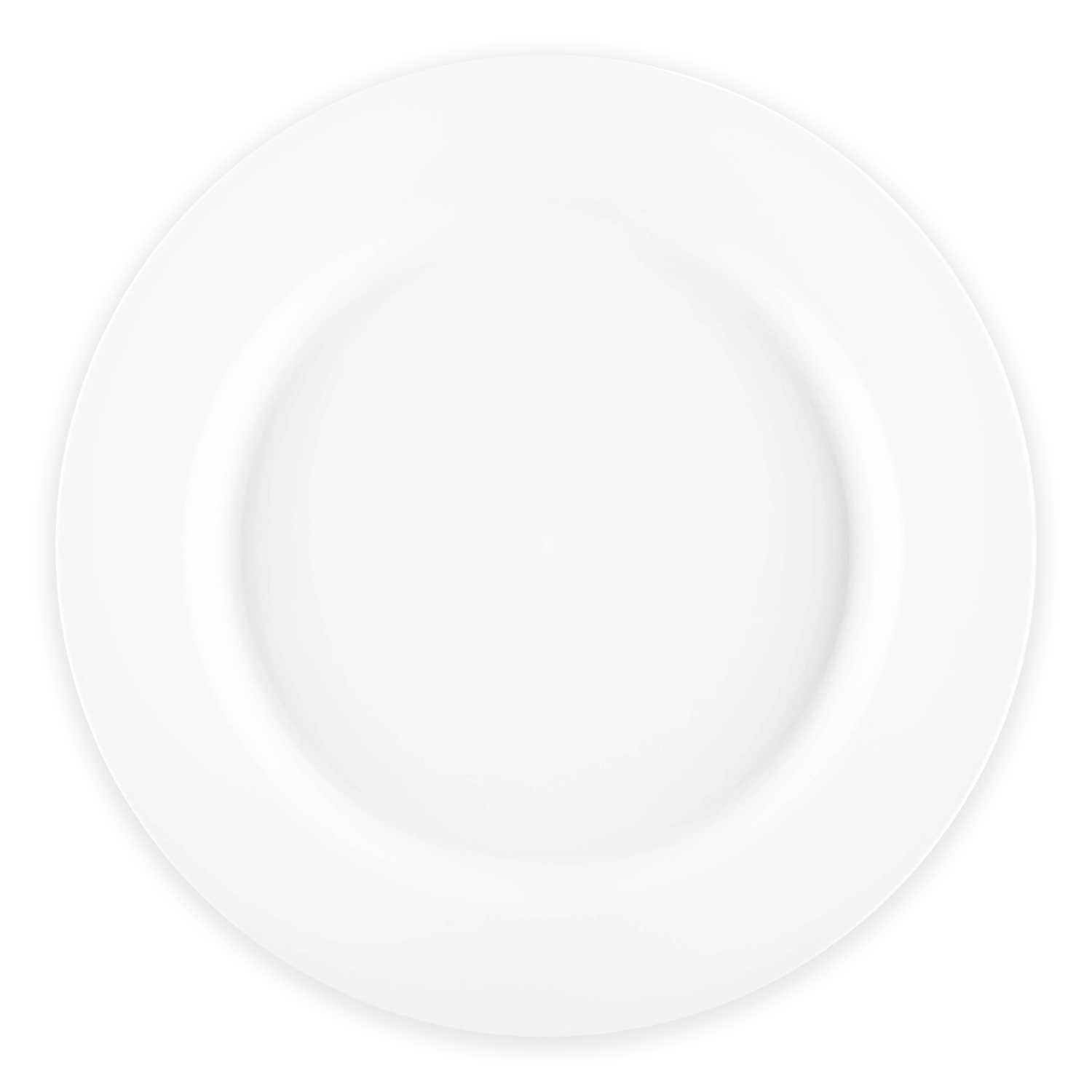 Matte Milk White Round Disposable Plastic Dinner Plates (10") | The Kaya Collection