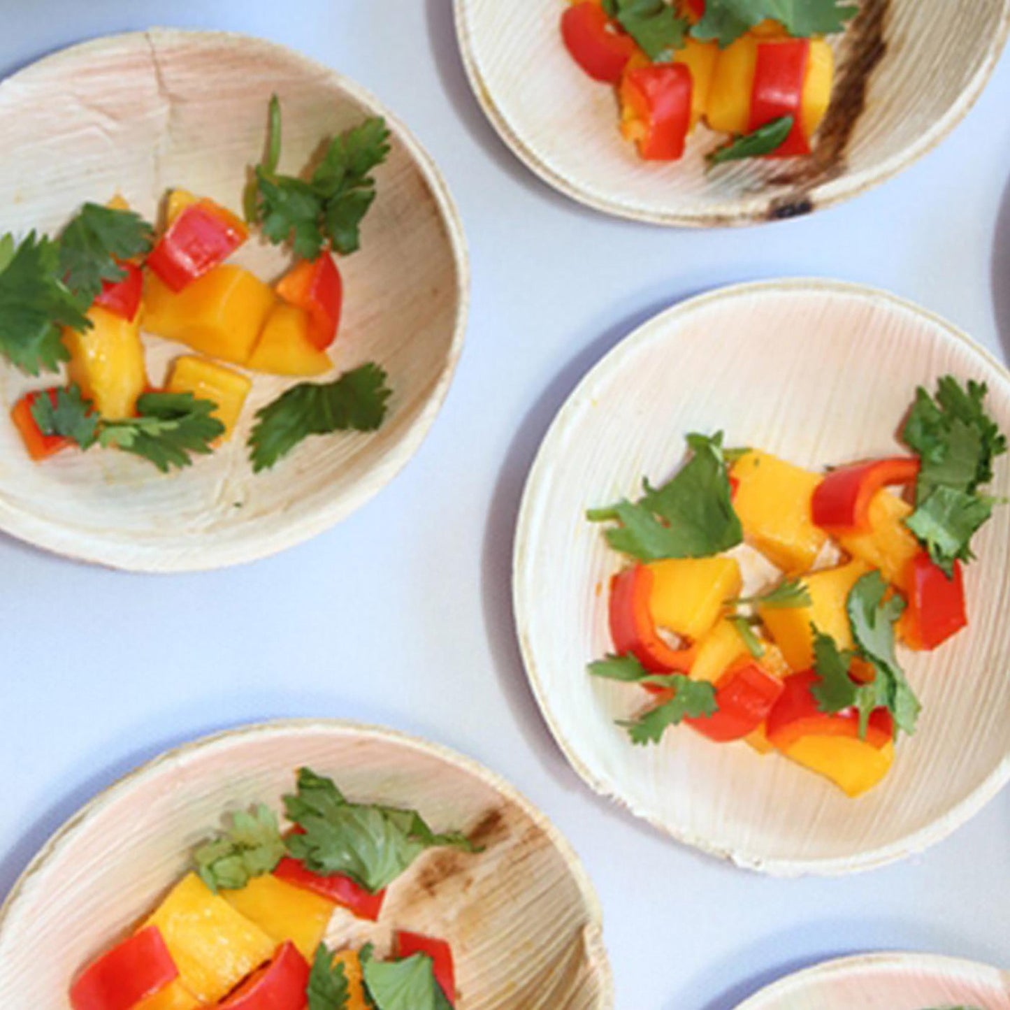 Round Palm Leaf Eco-Friendly Mini Disposable Sauce Bowls (2.5 oz.)