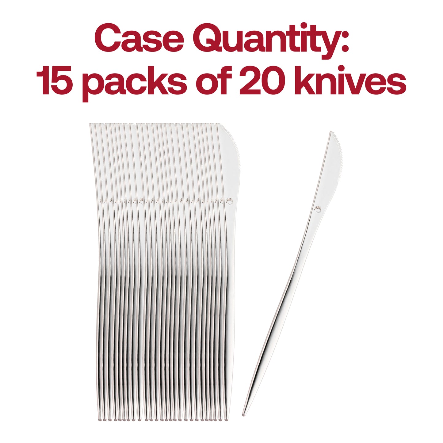 Shiny Silver Moderno Disposable Plastic Dinner Knives Quantity | The Kaya Collection