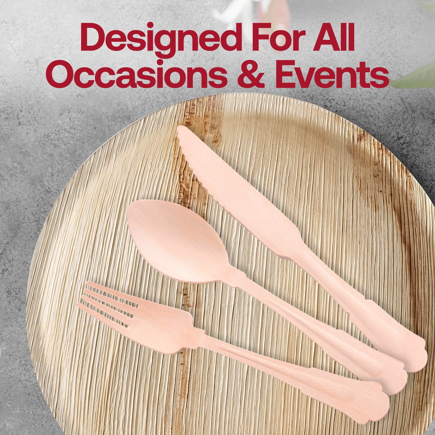 Silhouette Birch Wood Eco Friendly Disposable Dinner Spoons Lifestyle | The Kaya Collection