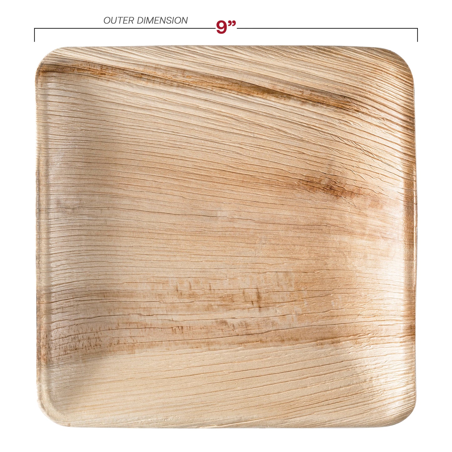 Square Palm Leaf Eco Friendly Compostable Dinnerware Value Set