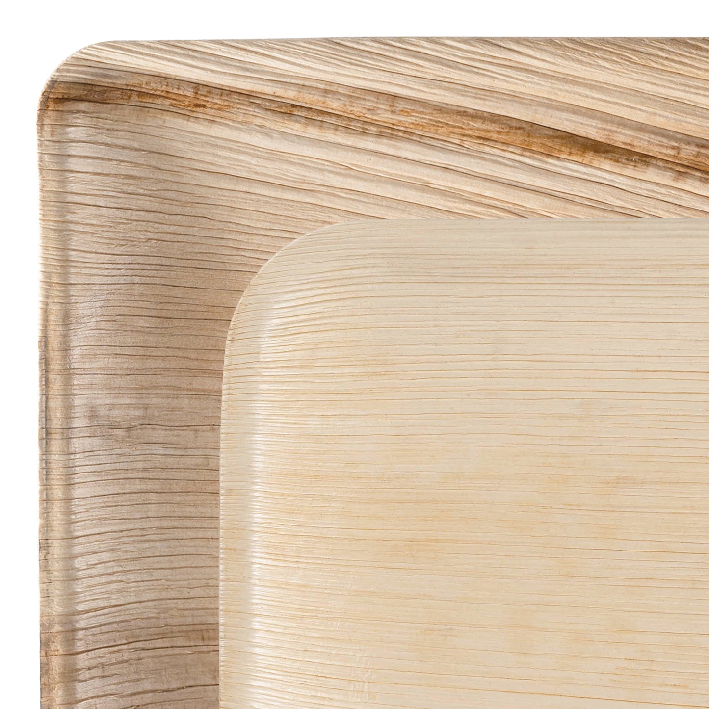 Square Palm Leaf Eco Friendly Compostable Dinnerware Value Set