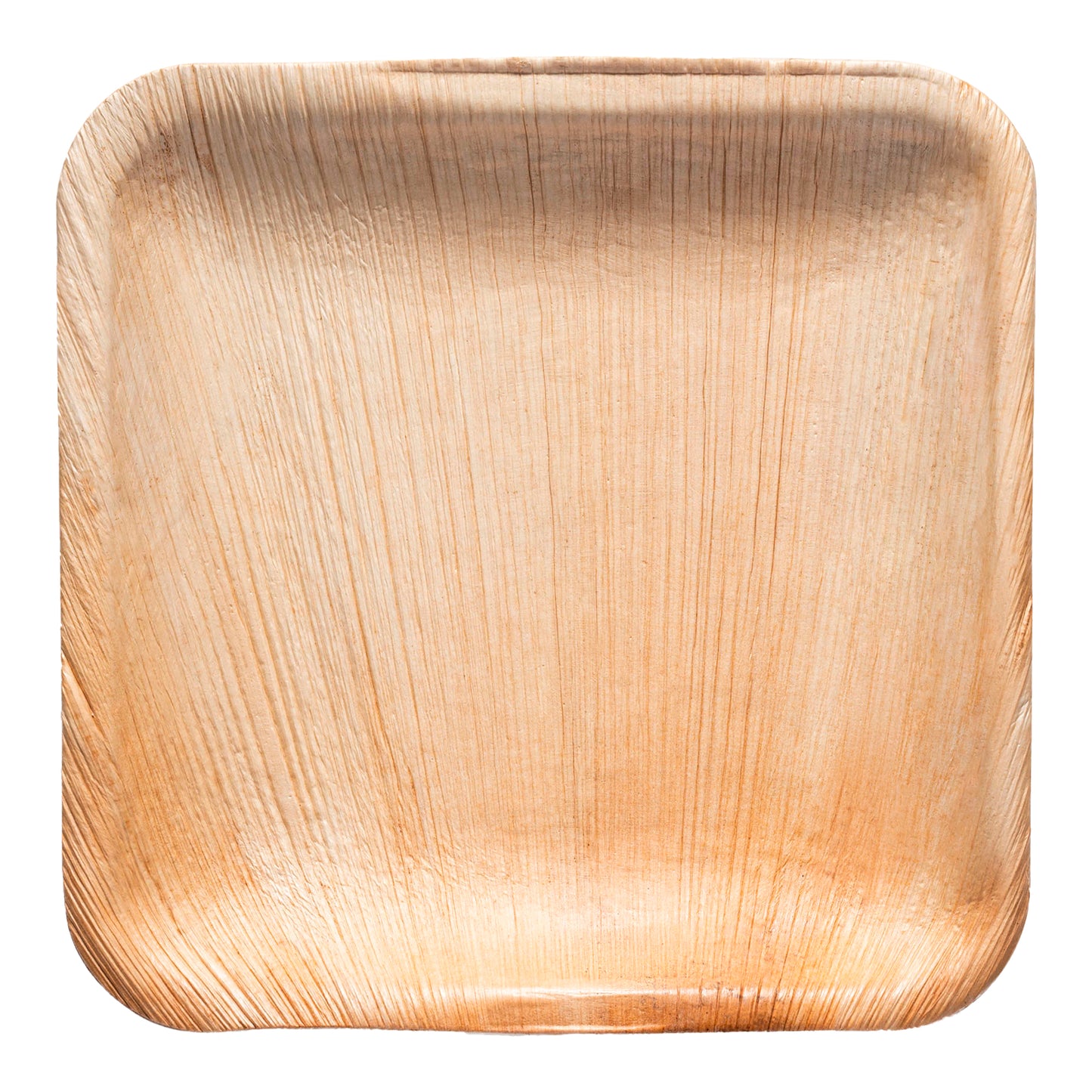 Square Palm Leaf Disposable Eco Friendly Appetizer/Salad Plates (6")