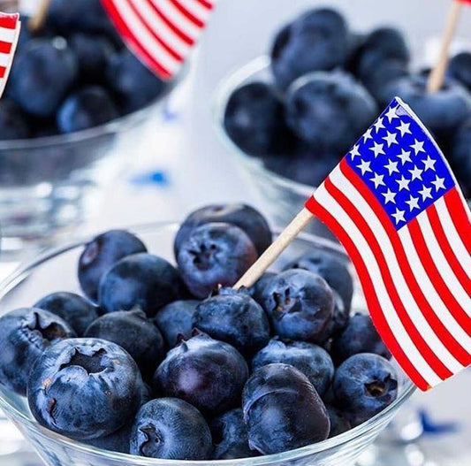 Best Memorial Day Recipes and Decorations