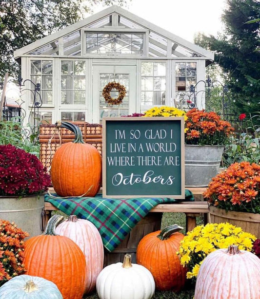 Host a Fall Harvest Party in Your Backyard!