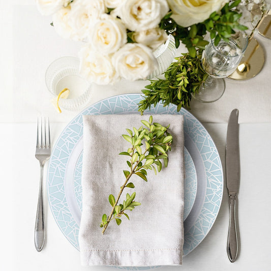 Stylish place setting with elegant, high-qualitz disposable party tableware