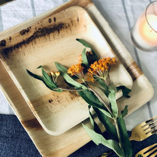 A Guide to Eco-Friendly Party Supplies