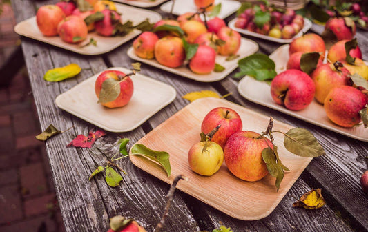 Al Fresco Dining: Eco-Friendly Ideas for Your Outdoor Fall Bash