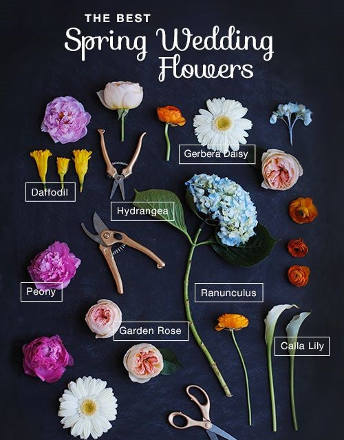 Blossoming Beauty: The Ultimate Guide to Spring Wedding Flowers