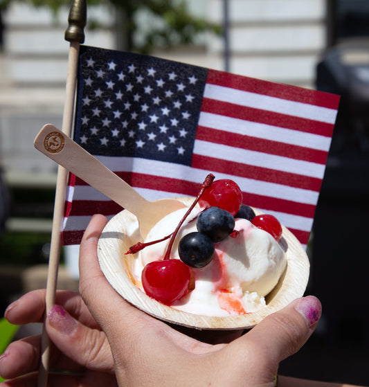 How to Have an Eco-Friendly Memorial Day?