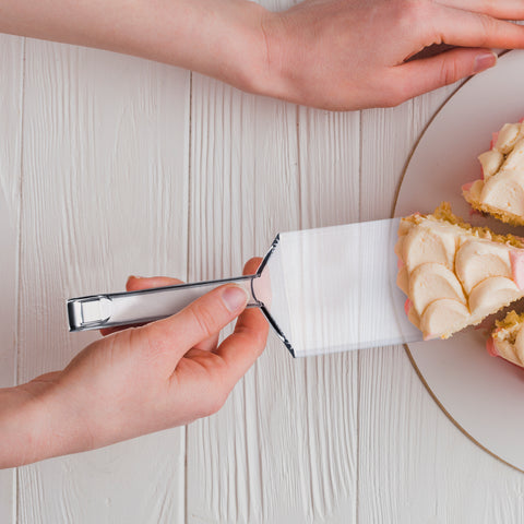 Clear Plastic Large Serving Spatulas