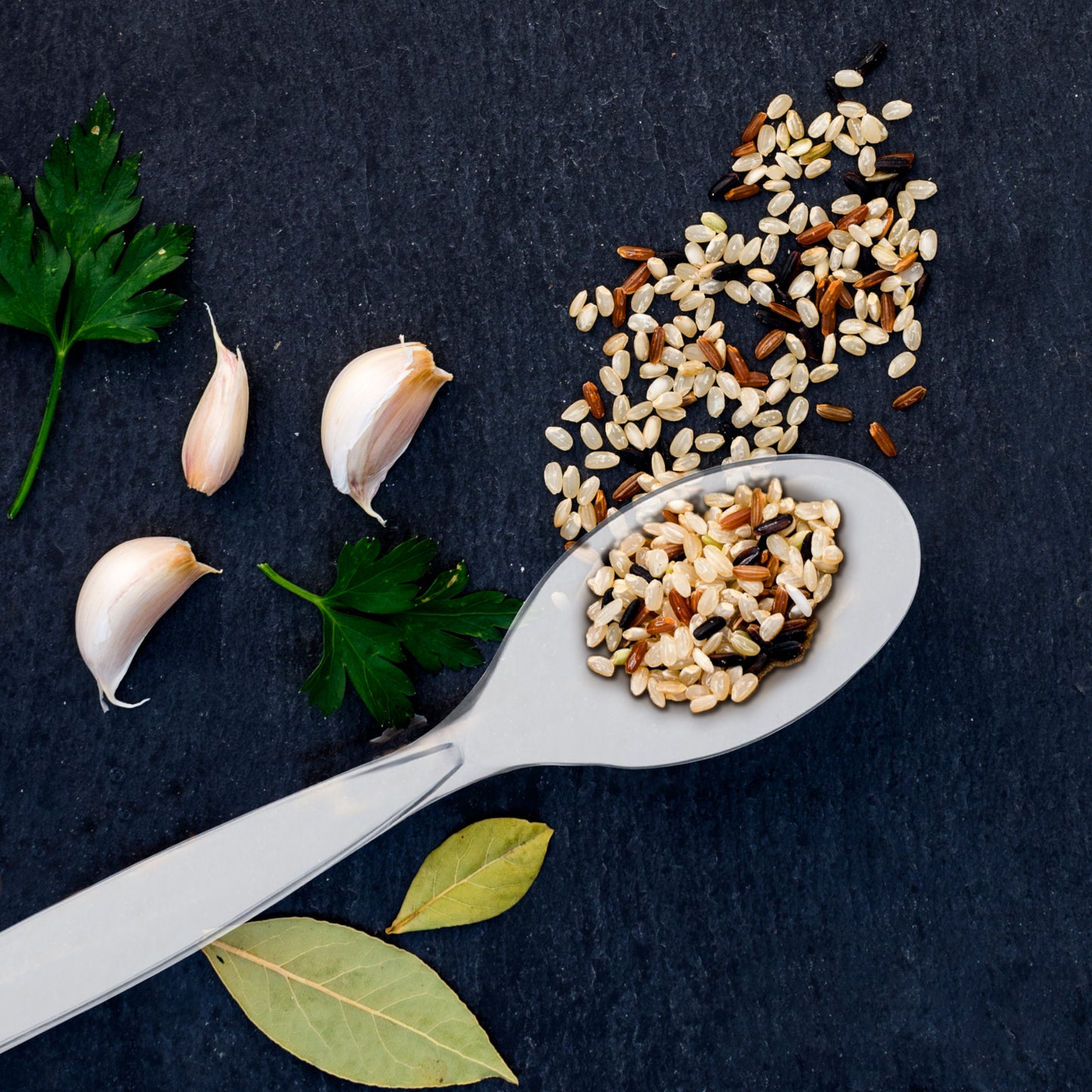 Clear Plastic Disposable Serving Spoons