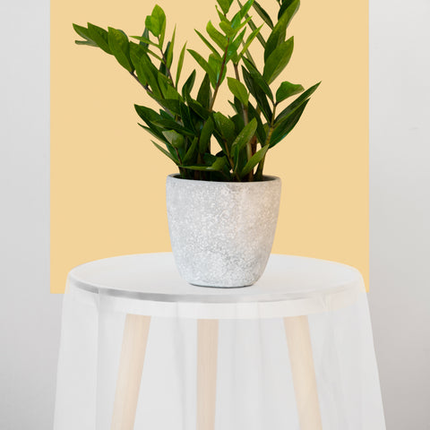 Clear Round Plastic Tablecloths (84