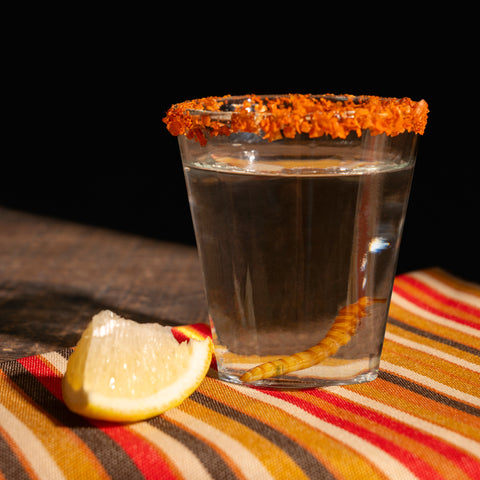 2 oz. Clear Round Disposable Plastic Shot Glasses