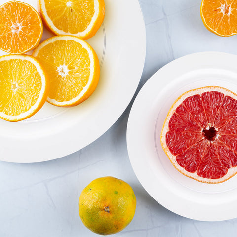 Clear Economy Round Plastic Dinner Plates (10.25