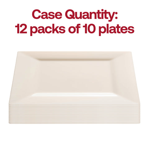 Ivory Square Disposable Plastic Dinner Plates (9.5