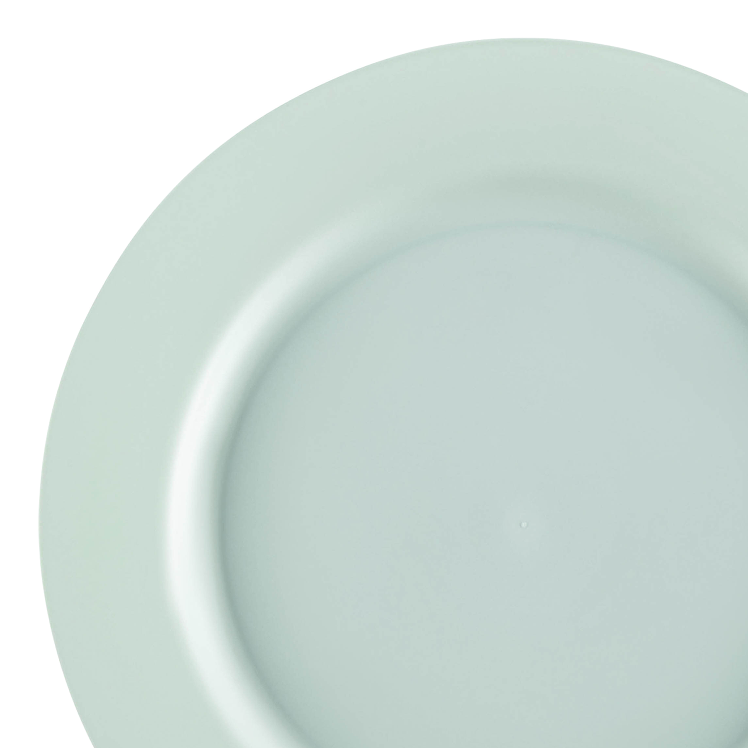 Matte Turquoise Round Disposable Plastic Dinner Plates (10") | The Kaya Collection