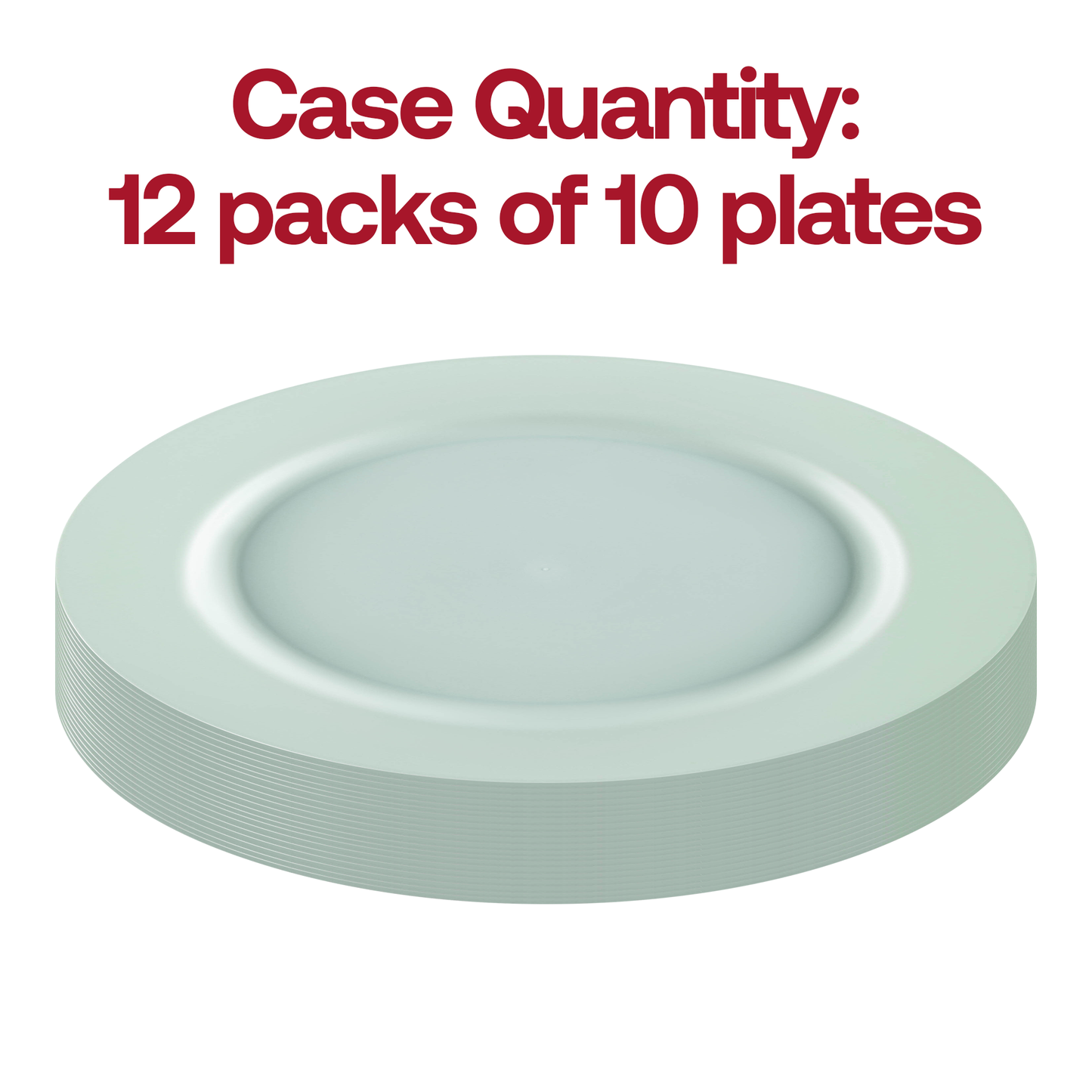 Matte Turquoise Round Disposable Plastic Dinner Plates (10") Quantity | The Kaya Collection