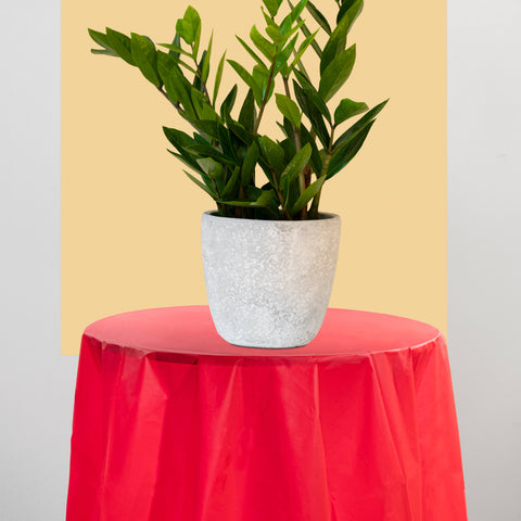 Red Round Plastic Tablecloths (84