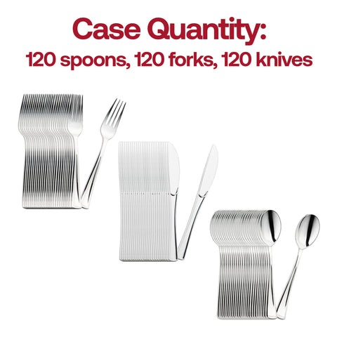 Shiny Metallic Silver Disposable Plastic Cutlery Combo Set