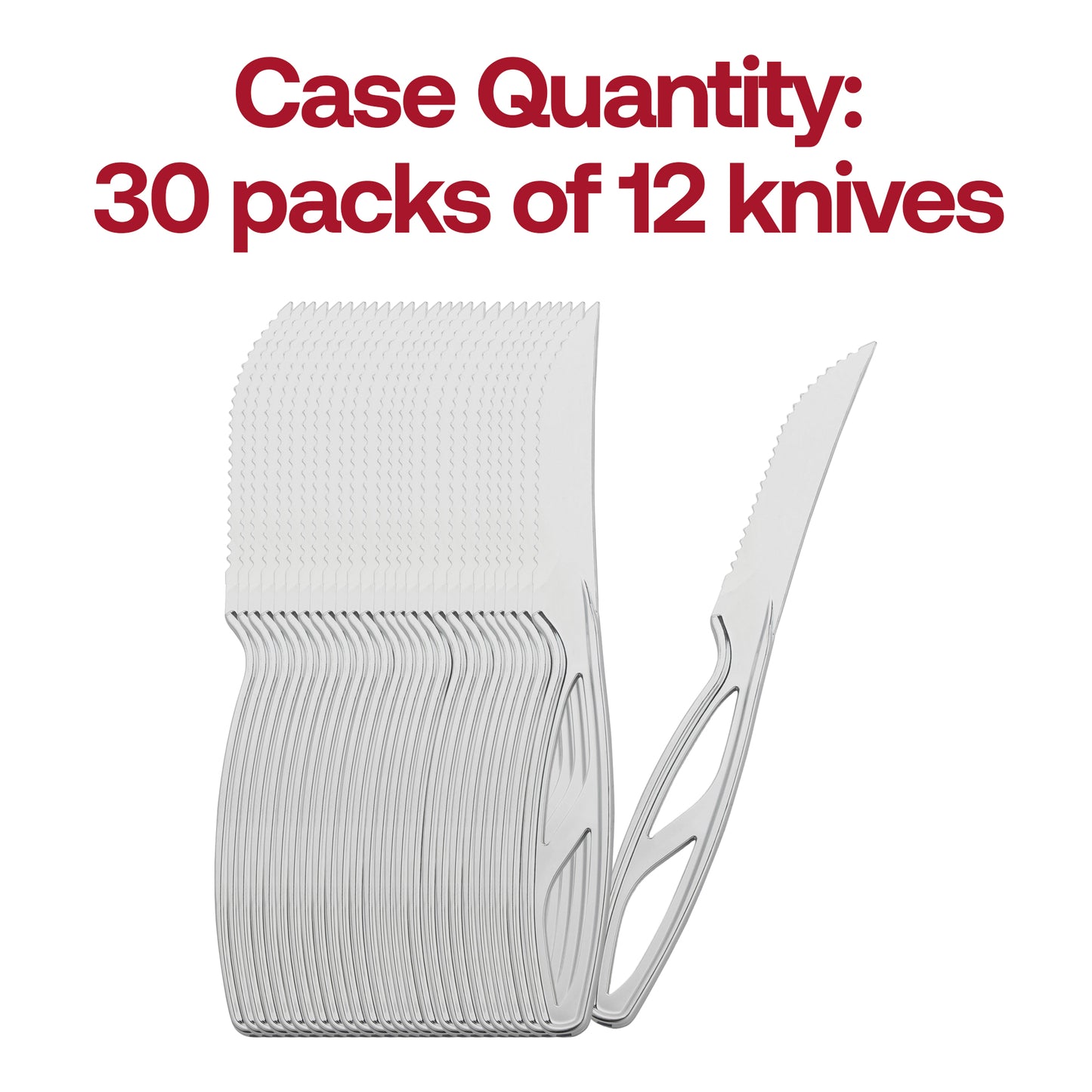 Silver Plastic Disposable Steak Knives