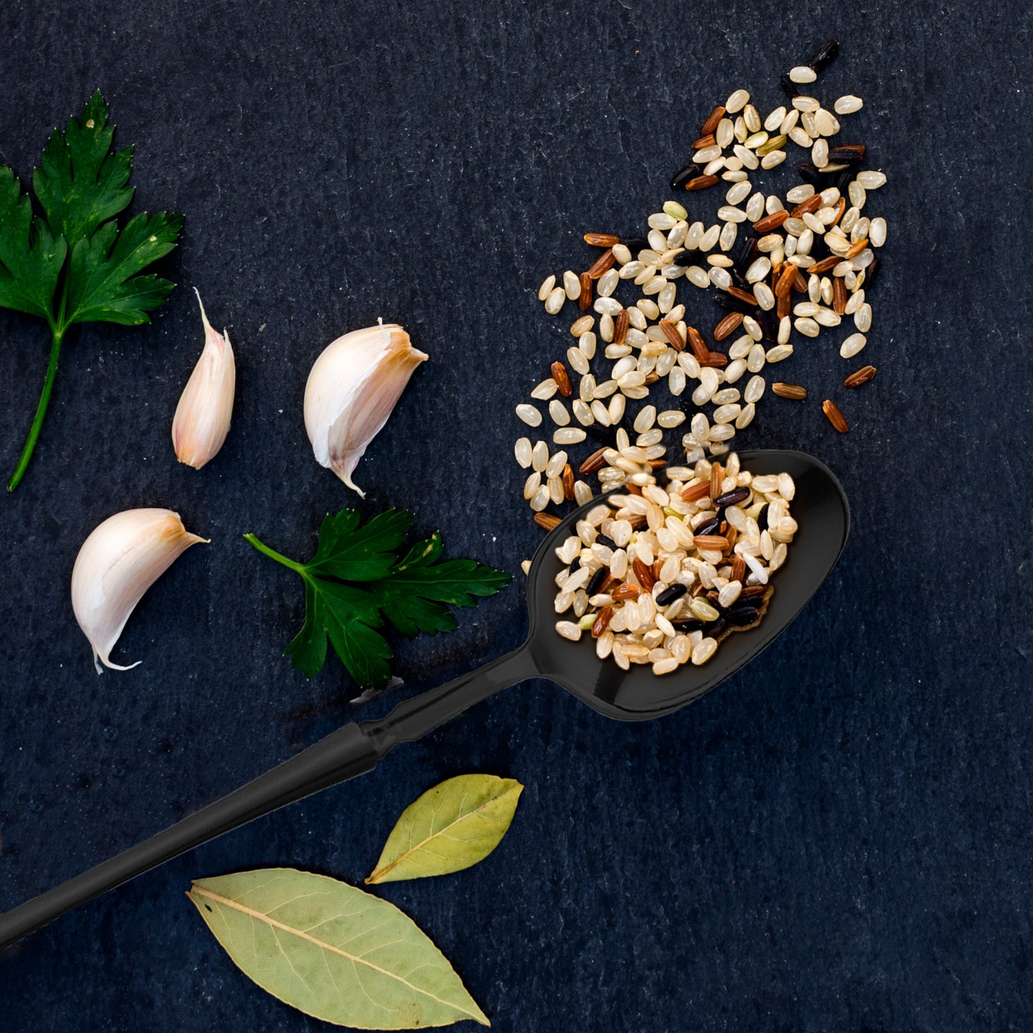 Solid Black Moderno Plastic Dessert Spoons