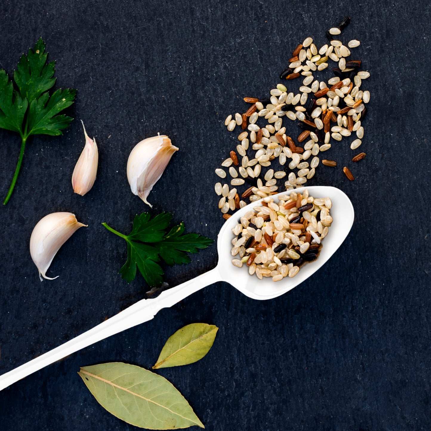 Solid White Moderno Disposable Plastic Dessert Spoons