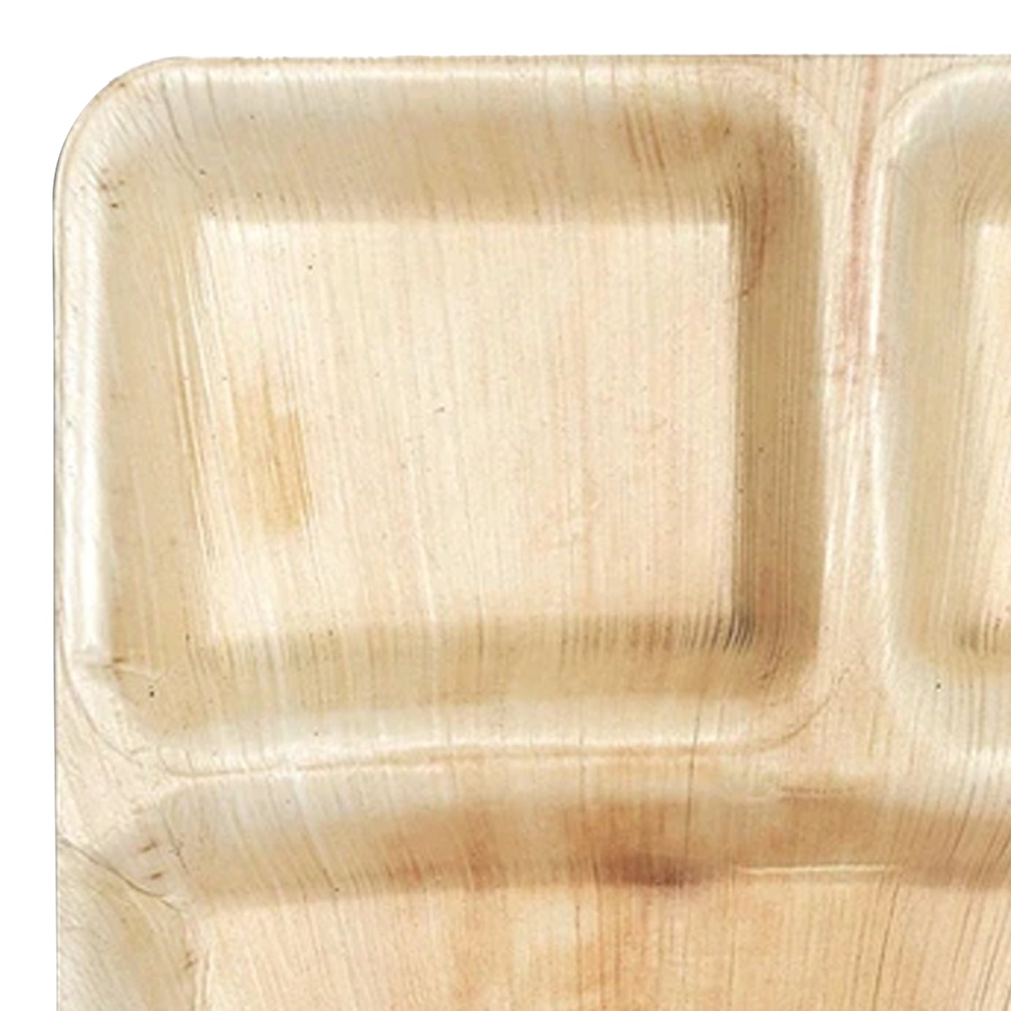 Square Palm Leaf 3-Partition Disposable Eco-Friendly Dinner Plates (10")
