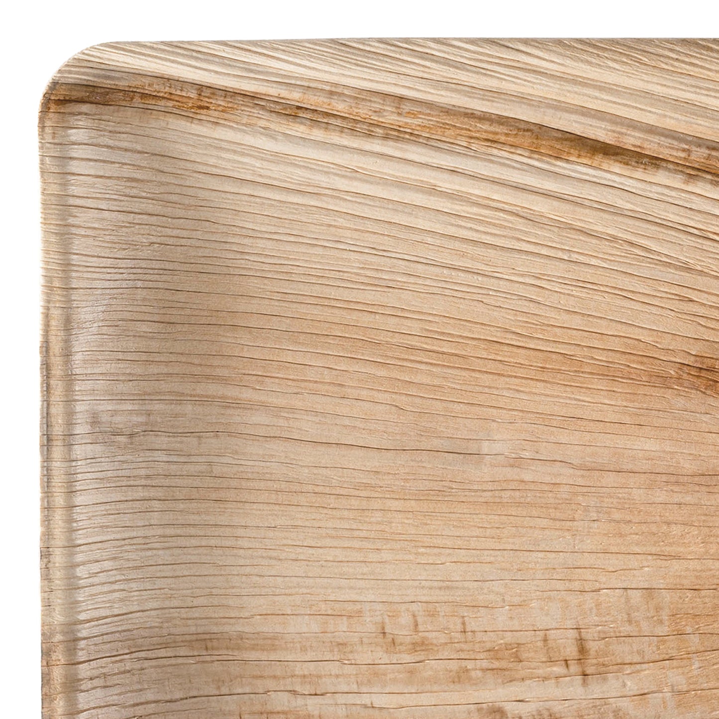 Square Palm Leaf Disposable Eco-Friendly Buffet Plates (9")