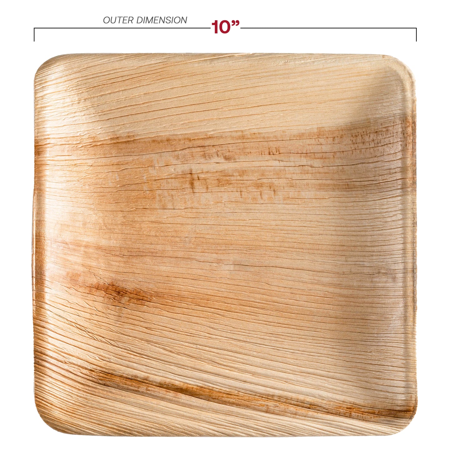 Square Palm Leaf Disposable Eco-Friendly Dinner Plates (10")
