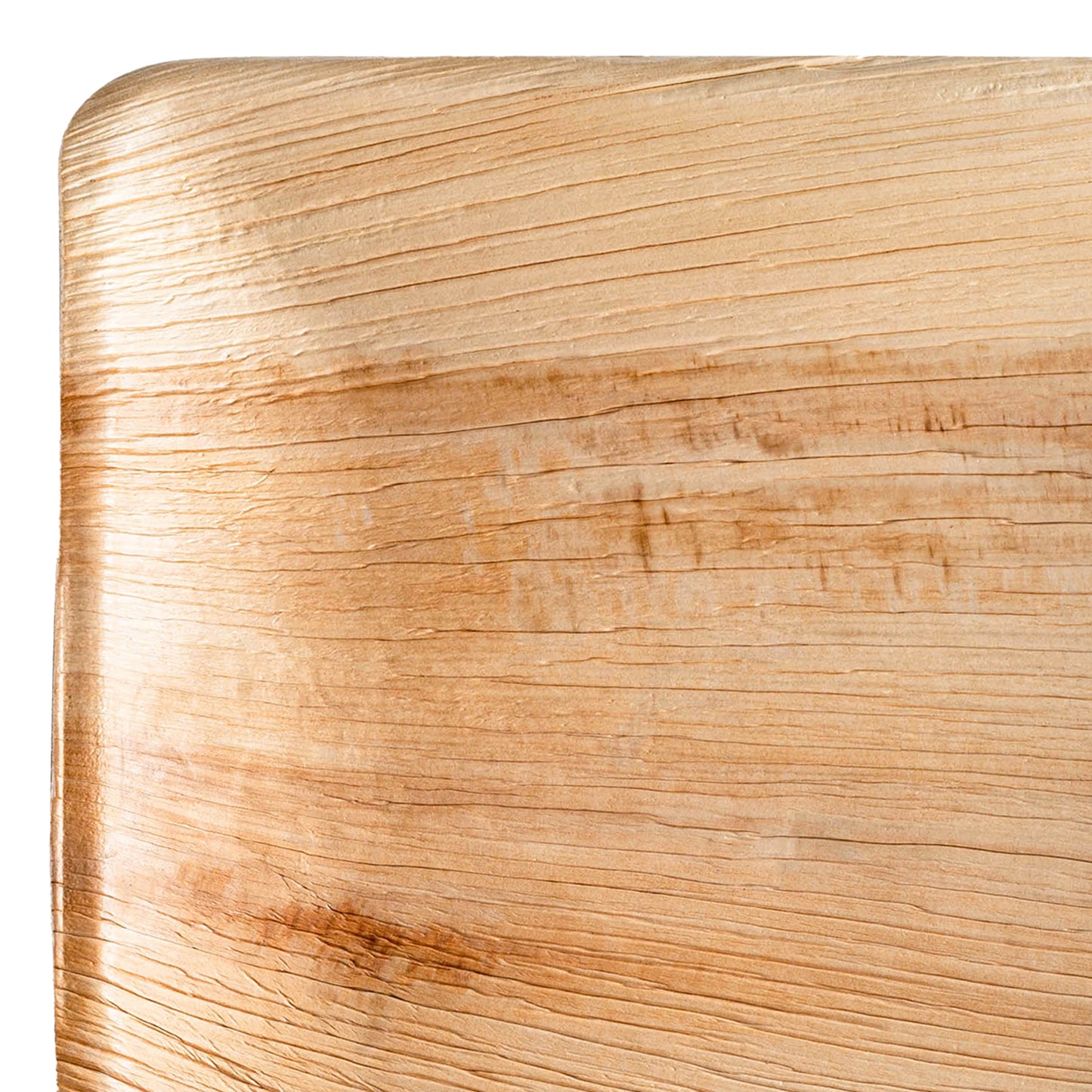 Square Palm Leaf Disposable Eco-Friendly Dinner Plates (10")