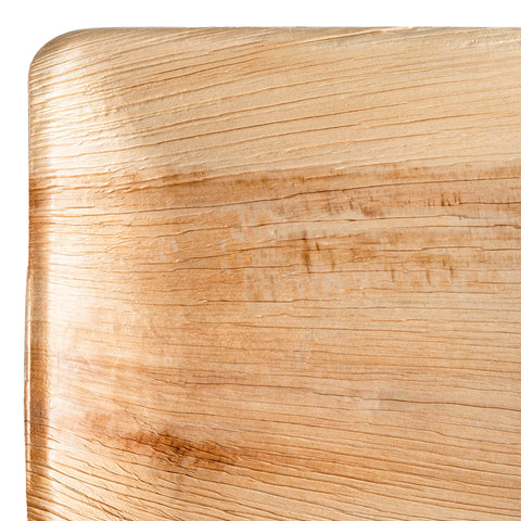 Square Palm Leaf Disposable Eco-Friendly Dinner Plates (10