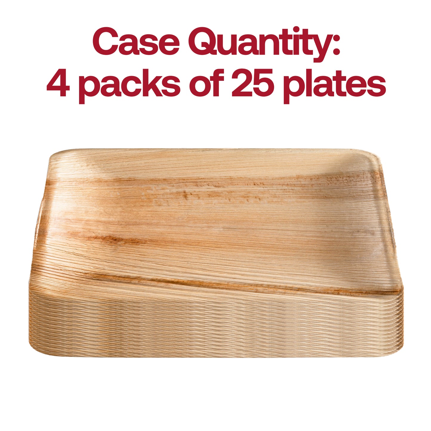 Square Palm Leaf Disposable Eco-Friendly Dinner Plates (10")