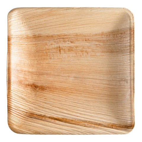 Square Palm Leaf Disposable Eco-Friendly Dinner Plates (10