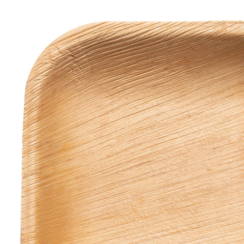 Square Palm Leaf Disposable Eco-Friendly Pastry Plates (5