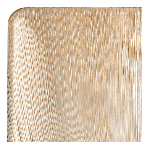 Square Palm Leaf Disposable Eco-Friendly Platters (11