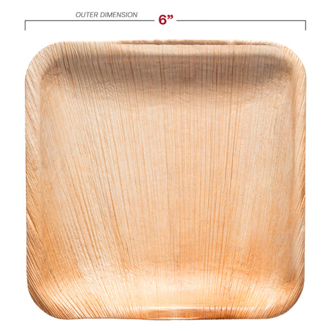 Square Palm Leaf Disposable Eco Friendly Appetizer/Salad Plates (6