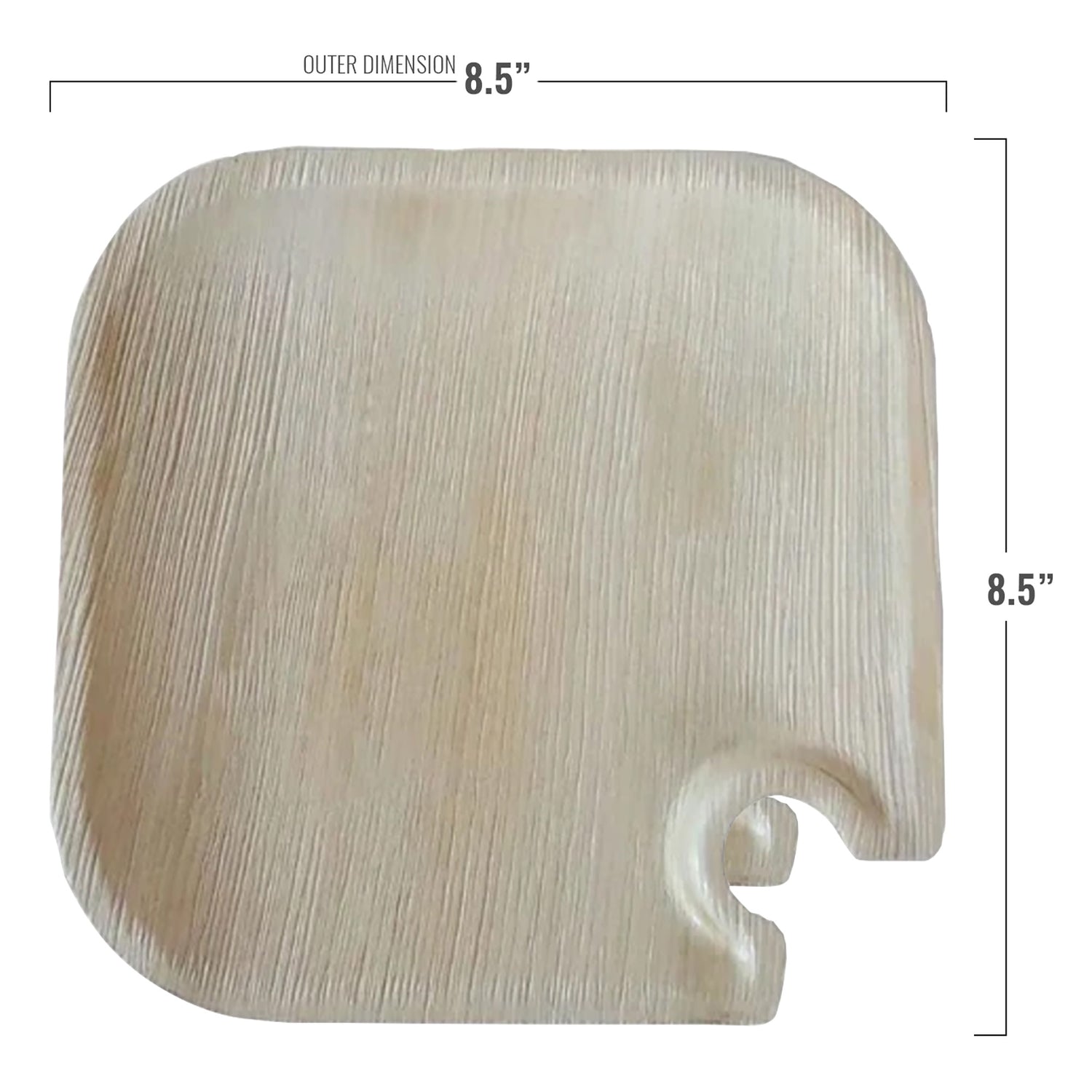 8.5" Square Palm Leaf Disposable Eco Friendly Wine Trays Infographics | Kaya Collection